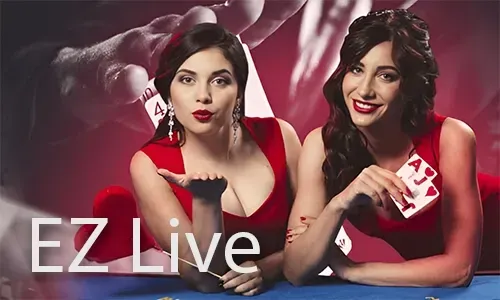 555bmw Live Casino Logo